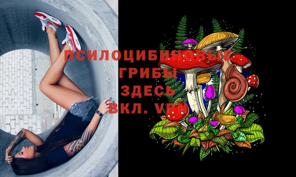 стаф Козельск