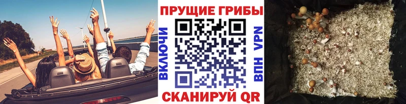 Псилоцибиновые грибы Magic Shrooms как найти наркотики Боготол